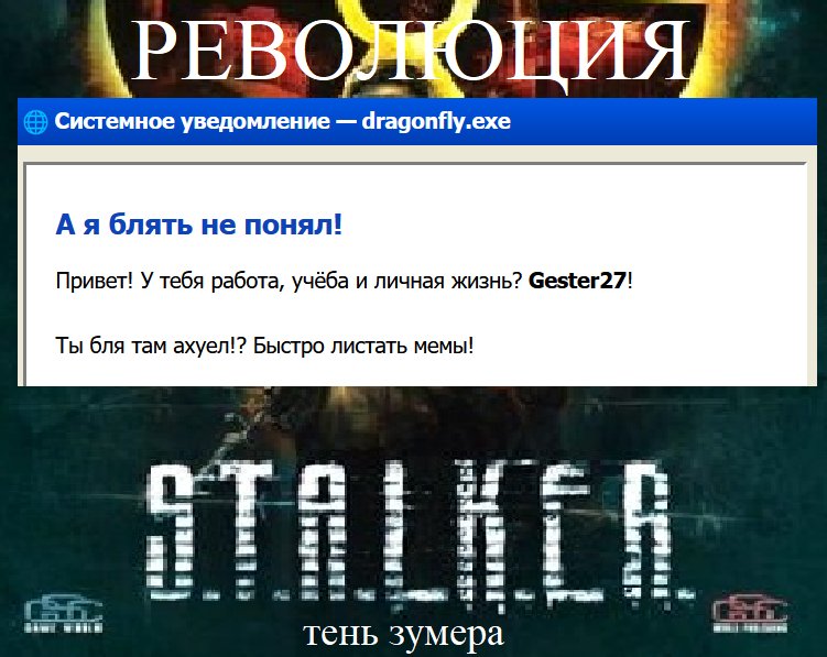Второй раз такое прокатит? — Gester27 · Стрекоза