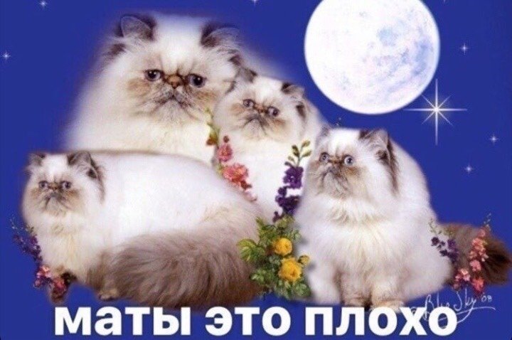 Запомните, а то забудете. — Kayfar1k · Стрекоза