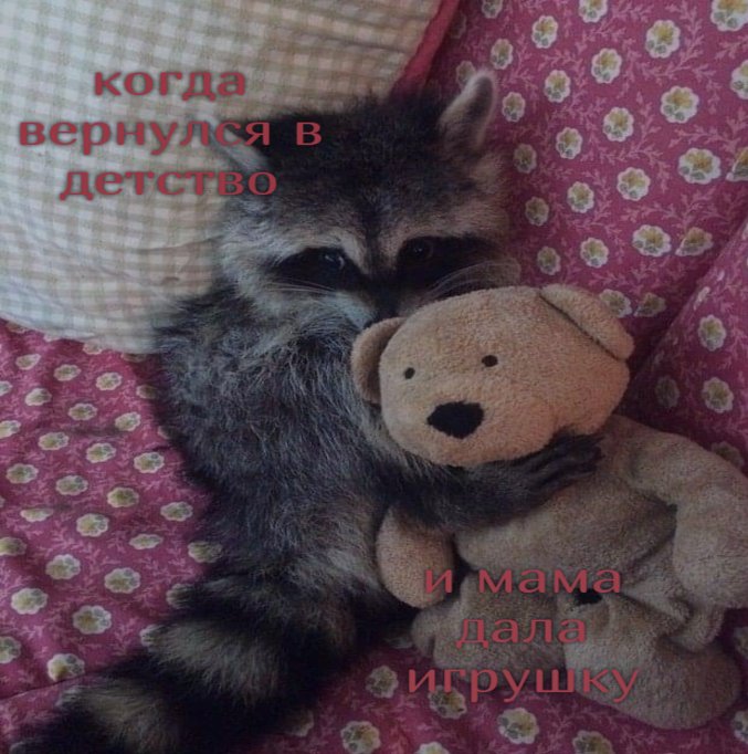низнаю щитпост мб или чо ето — Scara · Стрекоза
