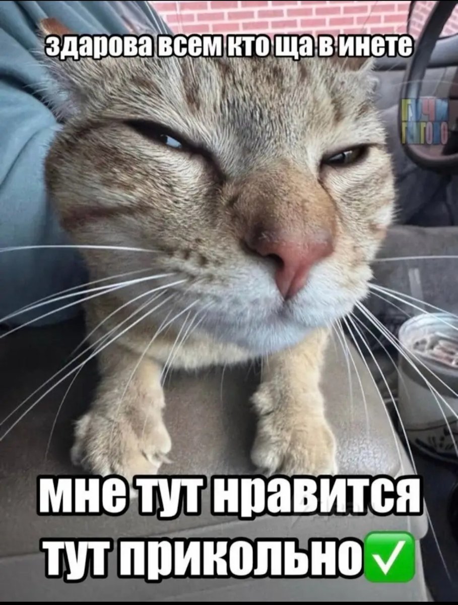 Все превет — Robaster2008 · Стрекоза