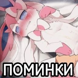 Как молится богу, а то они мне дрочить не хотят? — Ky6bIwKa · Стрекоза