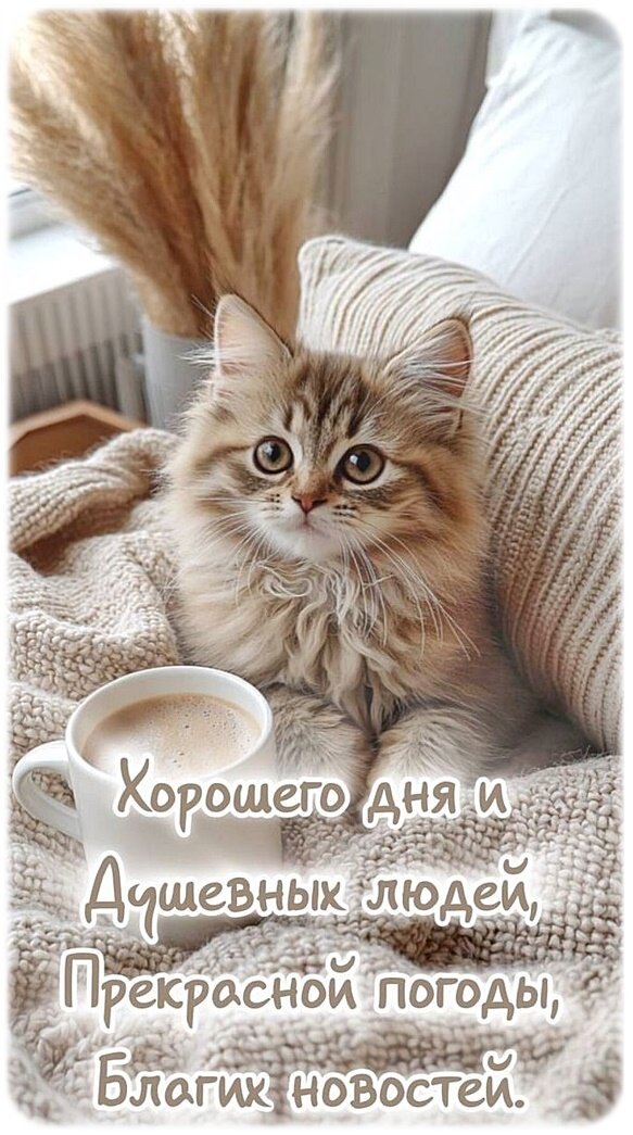 всем стрекозятам привет и хорошего дня ^______^ дарити любофь всем вс… — Gambo · Стрекоза