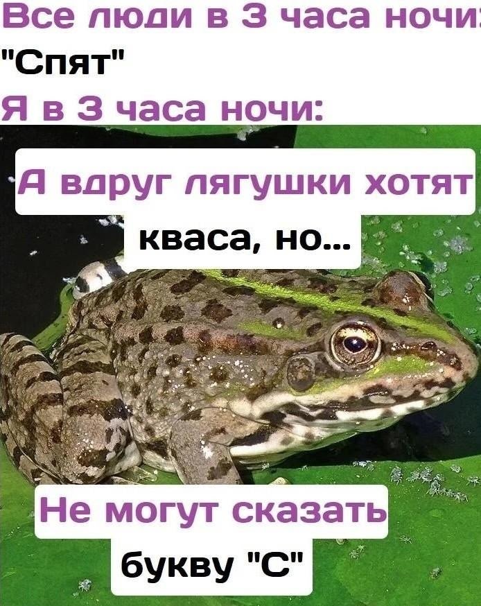 С прошедшим днём Кваса! — Vlad_3331 · Стрекоза