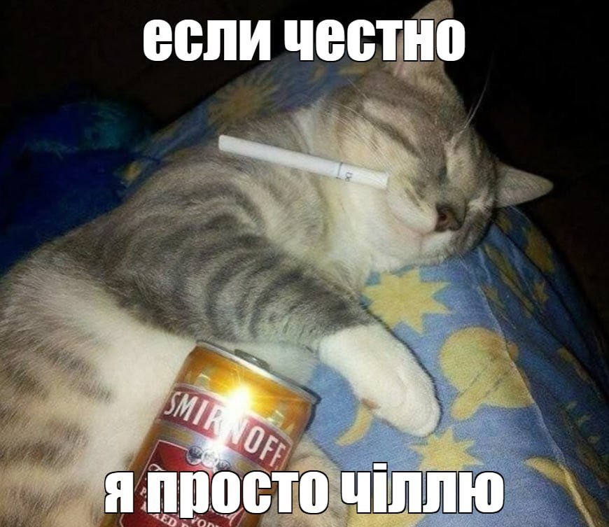 я ща тупа этот кот поняли типа — ggman1337 · Стрекоза