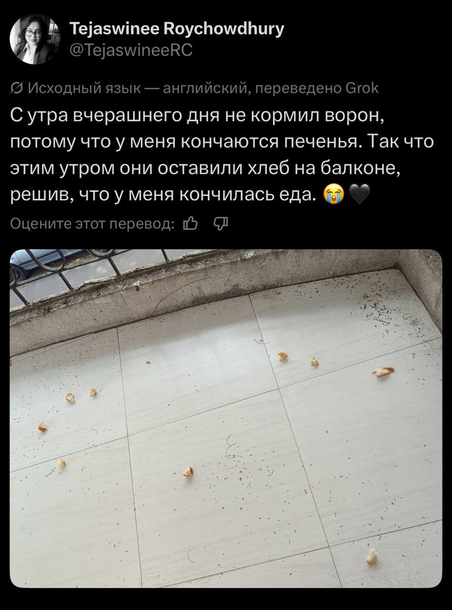 Милота <3 — Министерство хайпа · Стрекоза