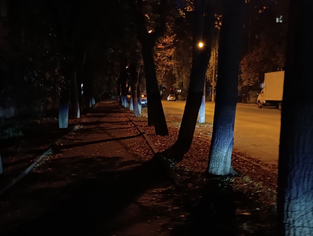 Давненько в стрекозу не заходила. Ка ваши дела? — Selbes28 · Стрекоза