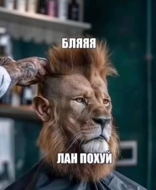Друже я завтра иду подстригаться и осознал что всю жизнь стригся лишь… — NormalGuy · Стрекоза