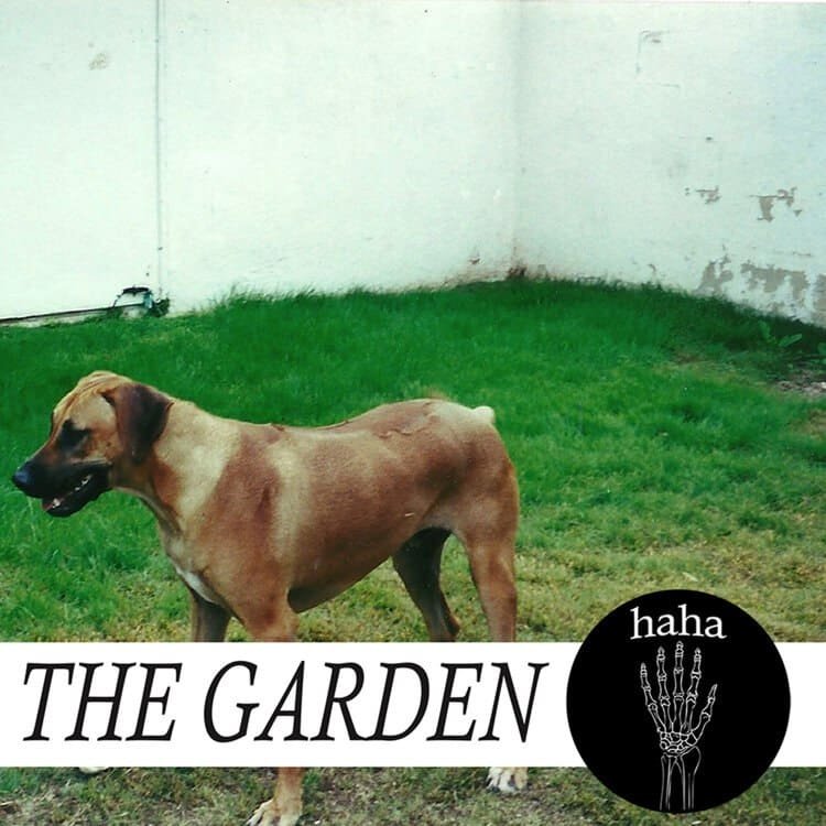 The Garden - haha (1) — зе гарден the garden зегардн для самых нищевых · Стрекоза