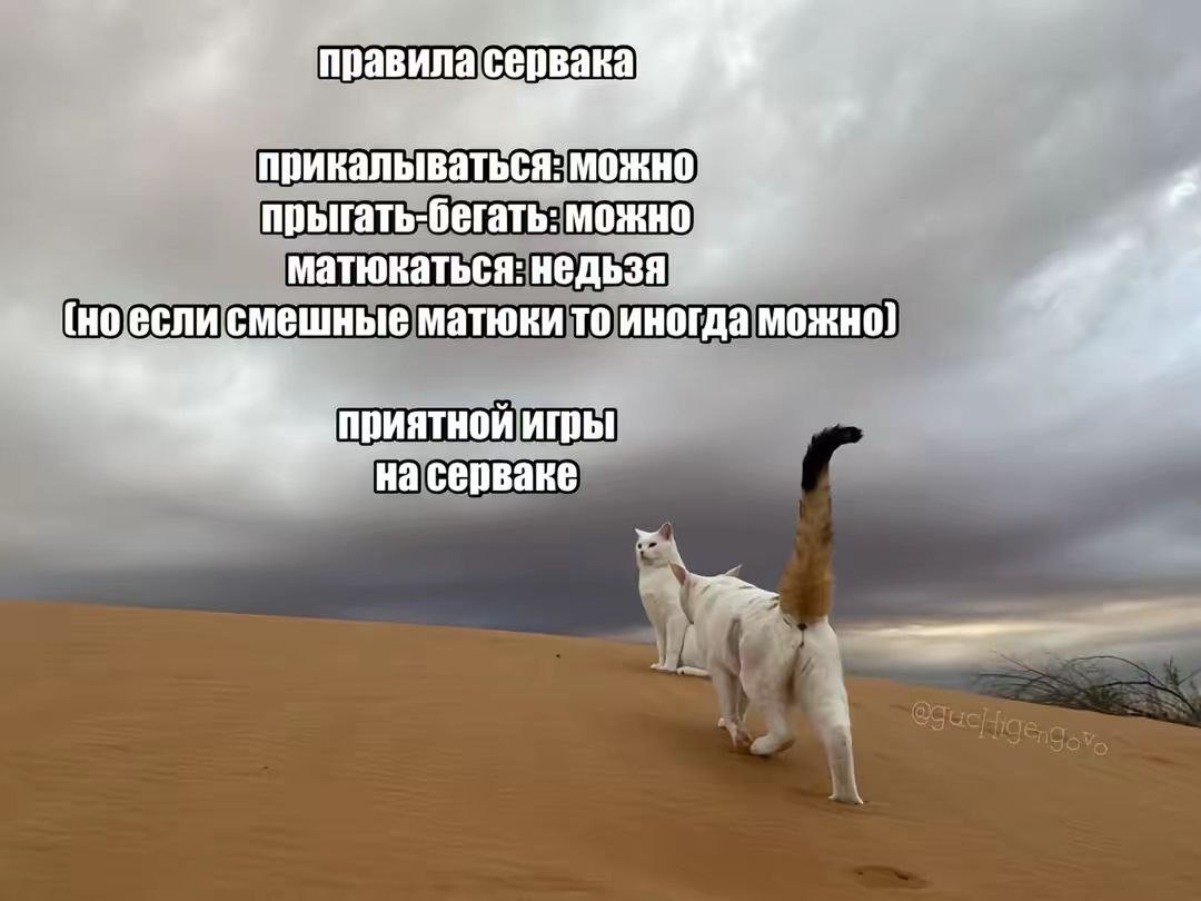 11010000 10101111 00100000 11010000 10111000 11010001 10001001 110100… — Robaster2008 · Стрекоза