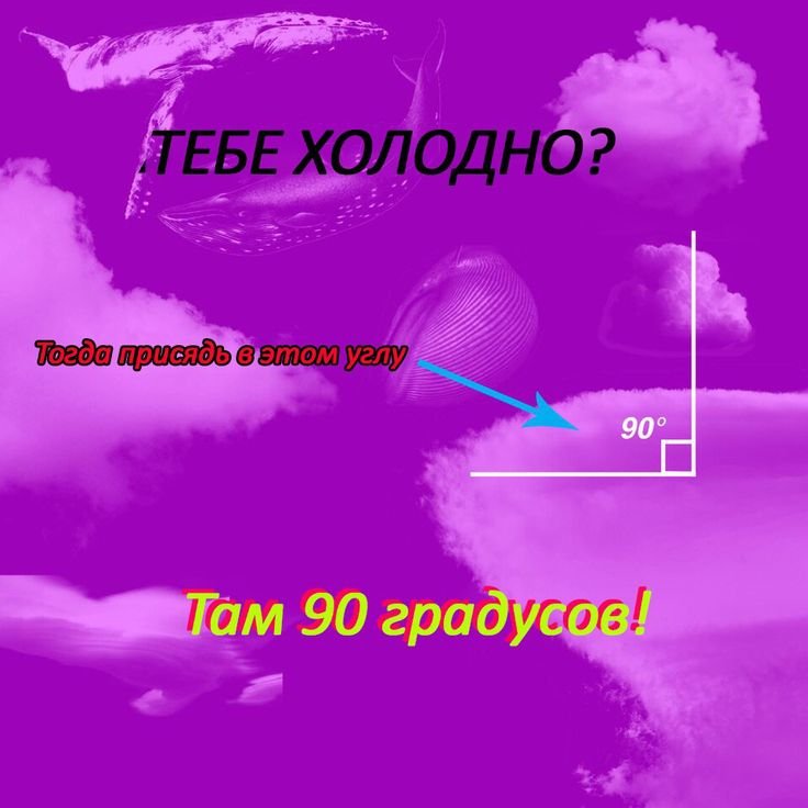 Обожаю такие странные мемы. — Griboneta · Стрекоза