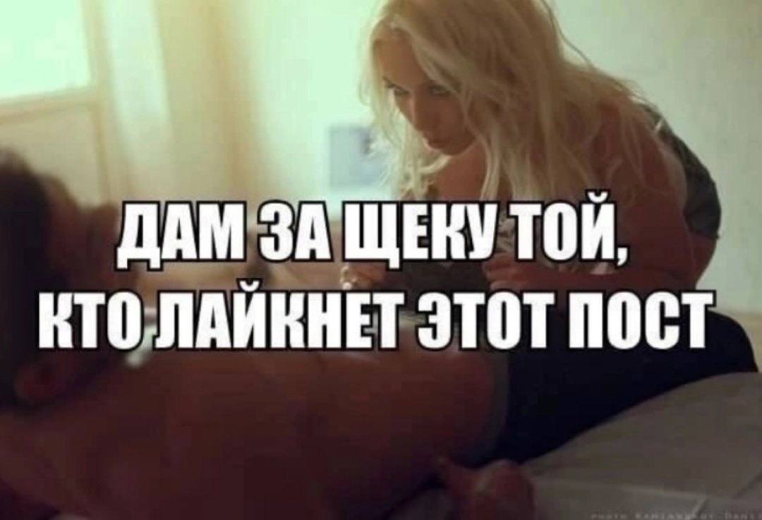 кто такой Karomkak// и почему ему понравилась моя запись?! — CEKC_nopHo · Стрекоза