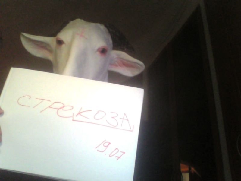 обратите внимание на название так называемого веб ресурса. стреКОЗА.… — K03A · Стрекоза