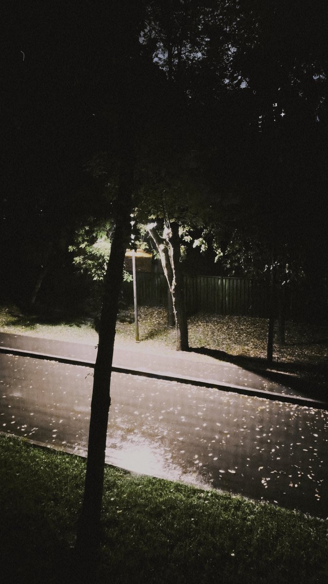 Дождь (пробую новую прогу с фильтрами) — ShYshMySh · Стрекоза