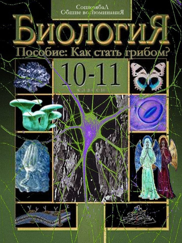 поч все так... — meekzimka · Стрекоза