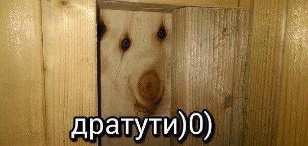 всем дратути, есть тут люди с орла — yassk · Стрекоза