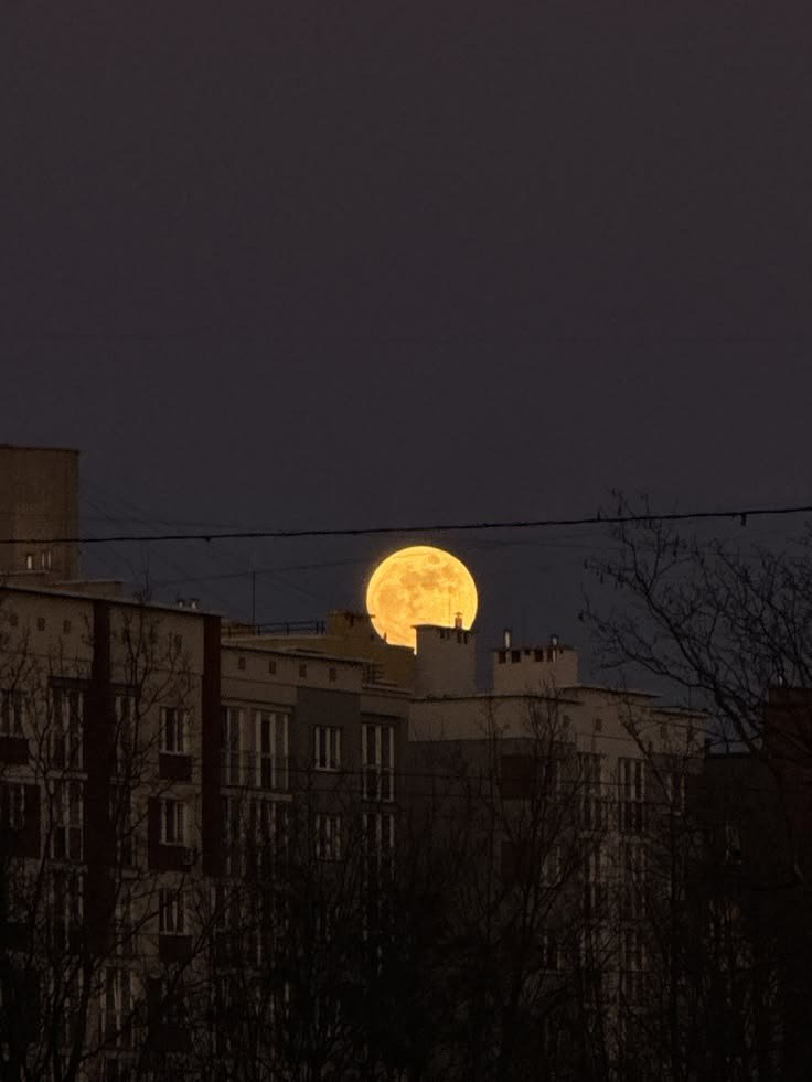 ВНИМАЙ МОЙ ПЕРВЫЙ СОН: ПРЕДСТАВЬ СЕБЕ: Ночь, город, многоэтажные здан… — СНОВИДЕНИЯ · Стрекоза