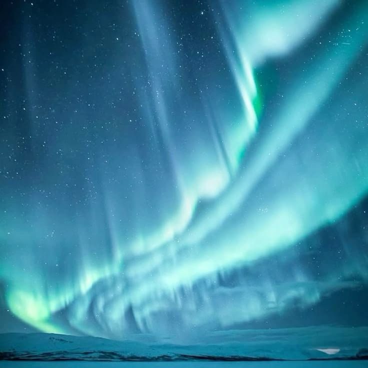 I only belive in 🌀BLUE HOUR🌀 supremacy — DoggerLit · Стрекоза