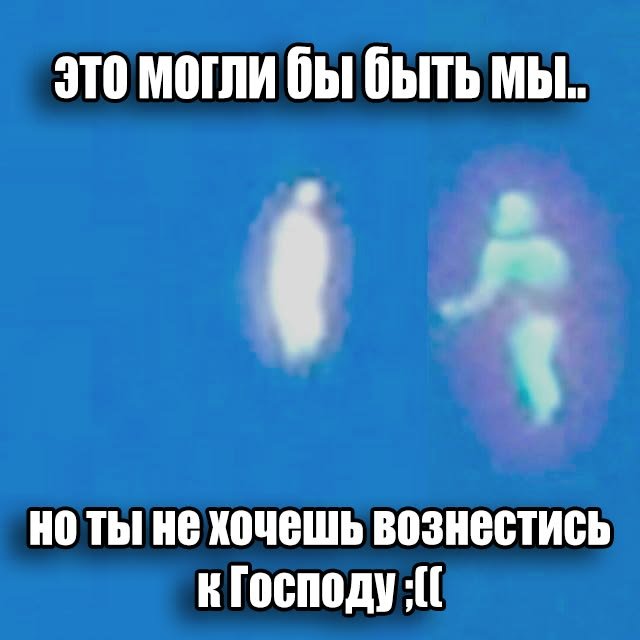 Сука он еще смеет противится воле нашего чистилища — Blagorodnaya · Стрекоза