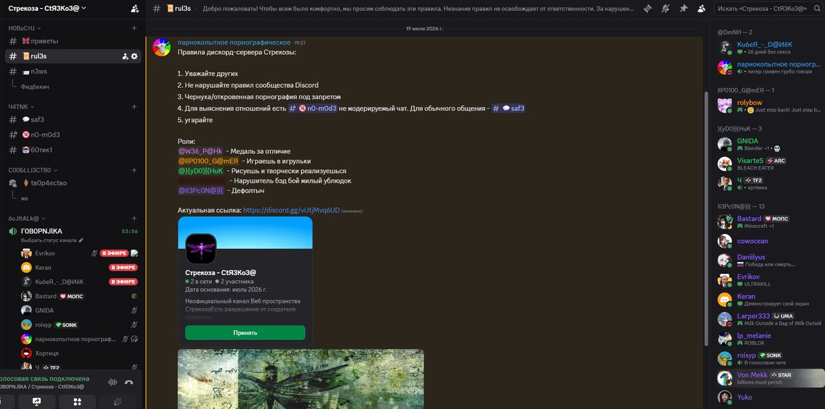 Конкретно бурмалдим на дс сервере Стрекозы заходите ребята в войс поб… — K03A · Стрекоза
