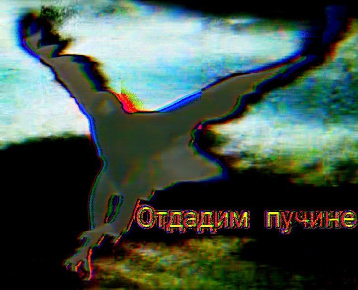 И снова здравствуйте, дорогие — OTK · Стрекоза
