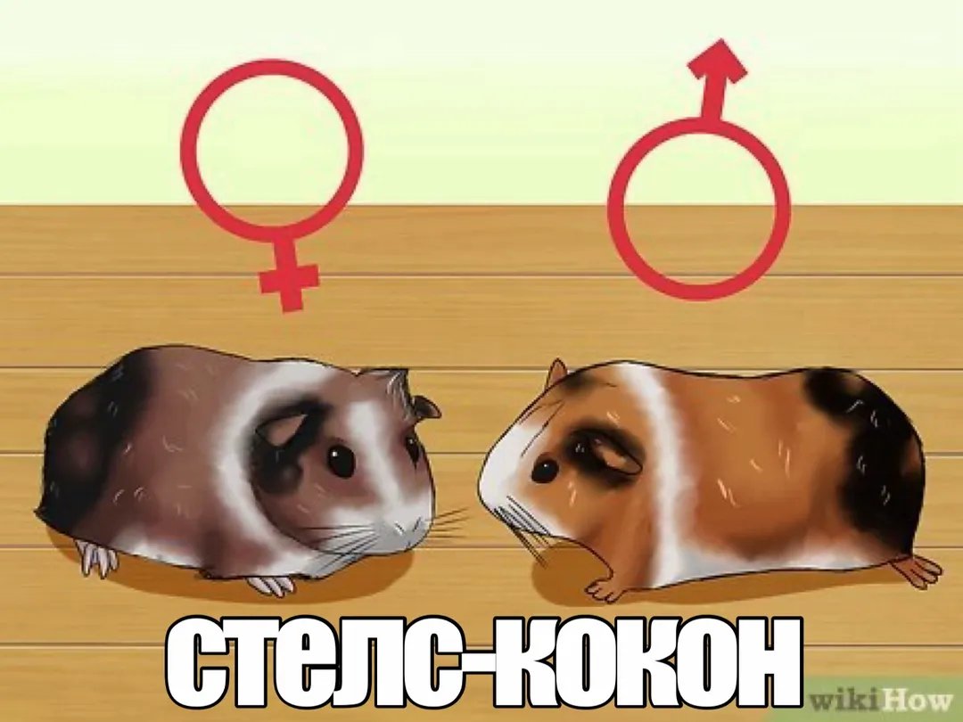 каждый день коллекция будет пополняться 🤪 а сегодня вот это — коллекция моих блядских странных фото · Стрекоза