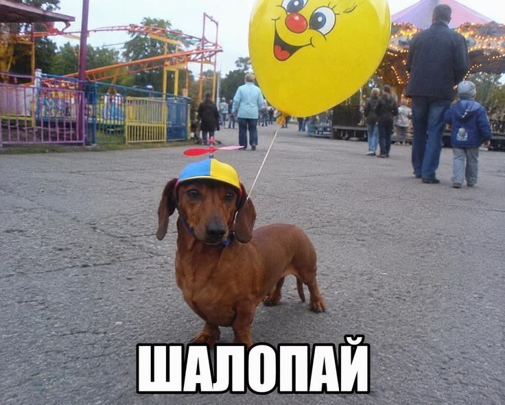 Это я короче. У меня завтра пипец первая половина дня загружена. Это… — Myrtille · Стрекоза