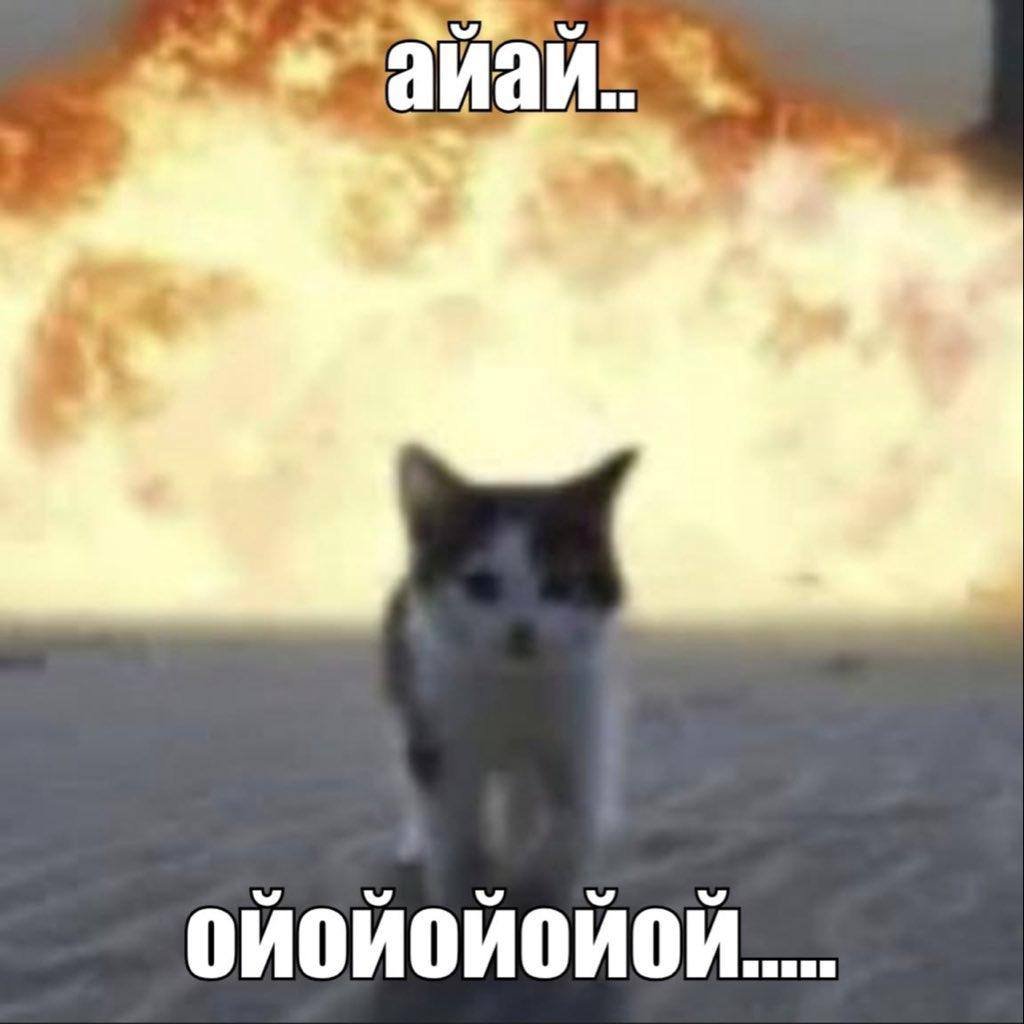 мой вайб — 0XXXYP0RN02007 · Стрекоза