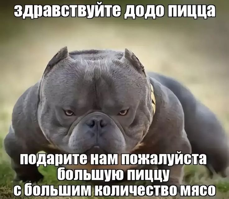 Блин посоветуйте сообществ каких-нибуд прикольных художников или прос… — SenFicus · Стрекоза