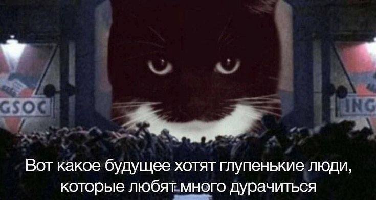 Готовлюсь к пересдаче по вычислительным методам под этот невероятный… — meatimch · Стрекоза