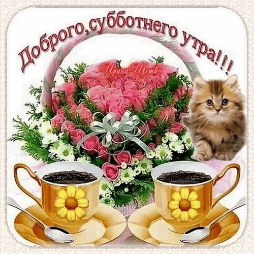 Всем хорошего субботнего утра! И чтобы день прошёл легко для всех. Се… — Myrtille · Стрекоза