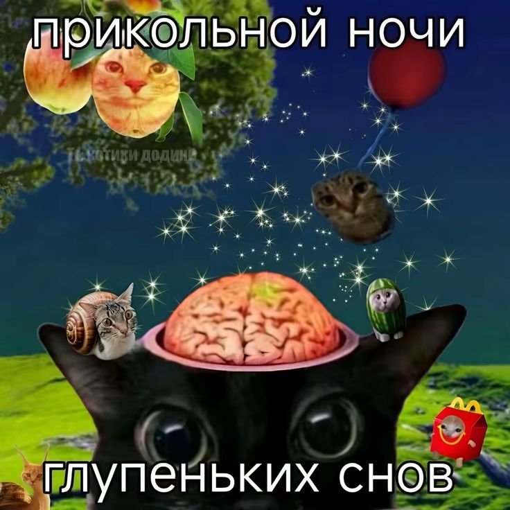 Всё, я наконец-то пойду спать, сегодня я устала. Доброй ночи и классн… — Myrtille · Стрекоза