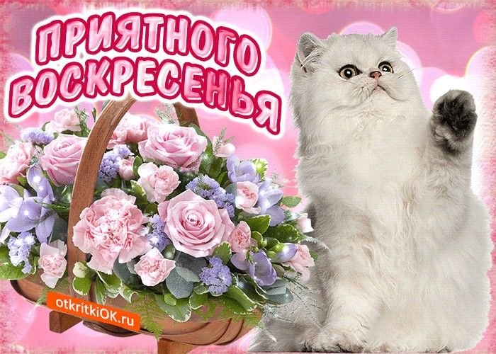 Доброе всем утро! Сегодня мы отдыхаем, гуляем и радуемся жизни! Сегод… — Myrtille · Стрекоза