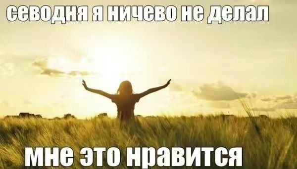 Первая половина дня прошла и я с кайфом ничего не делала. Хочу пожела… — Myrtille · Стрекоза