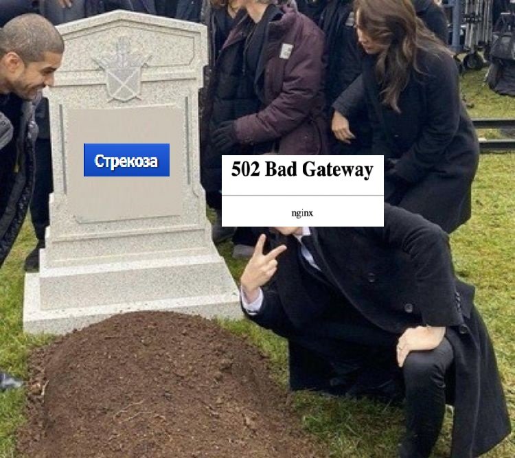 Что-то я разошёлся, мне это нравится :^) — NormalGuy · Стрекоза