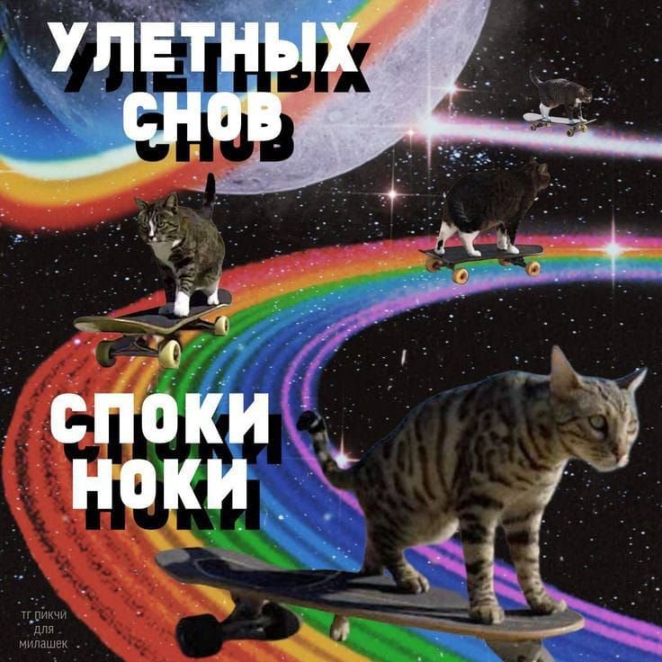 Всё, я спать, а значит обязательная прикольная пикча с пожеланием доб… — Myrtille · Стрекоза