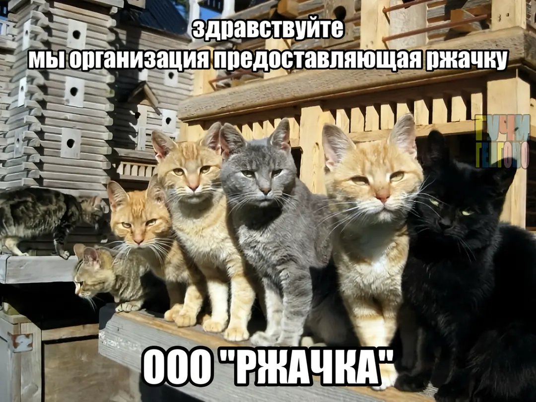 Нетуфта здравствуйте, остальным привет — TeleMatriDam · Стрекоза