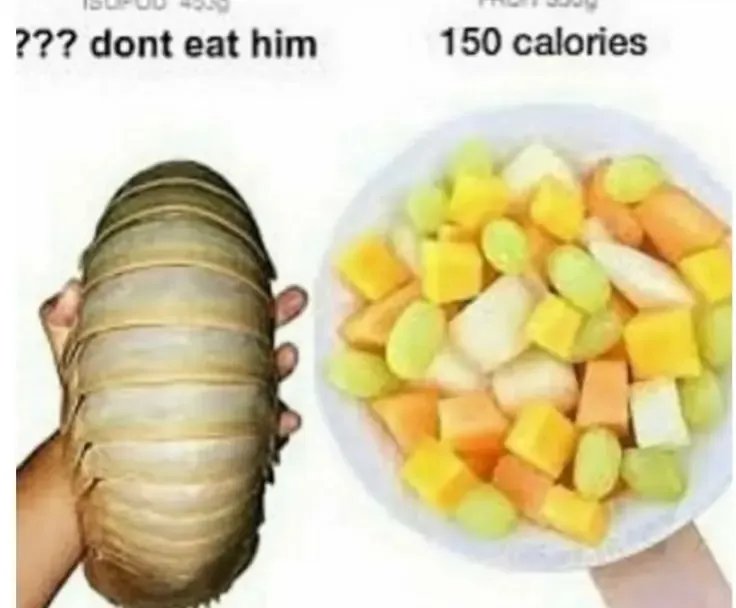 Купите мне маслины.. — Scara · Стрекоза