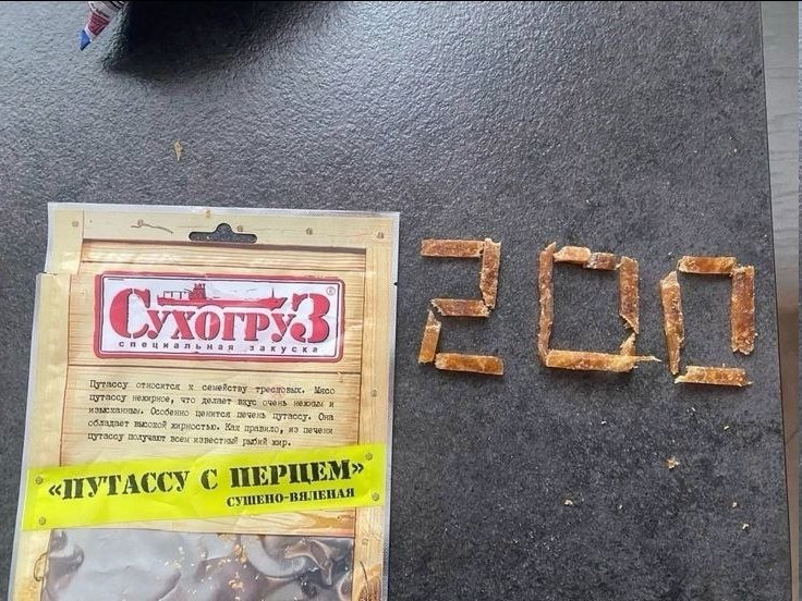 0_0 — brutal_kitty · Стрекоза