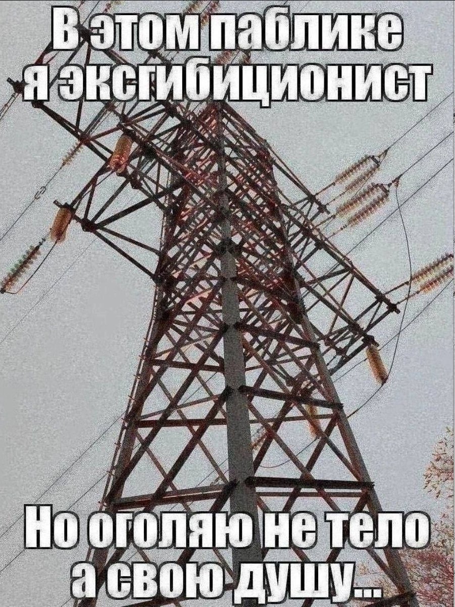 Лукошко глубокомыслия — brutal_kitty · Стрекоза