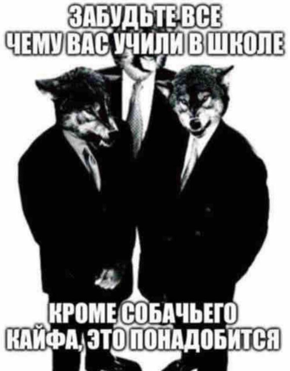 qq — chlorka · Стрекоза