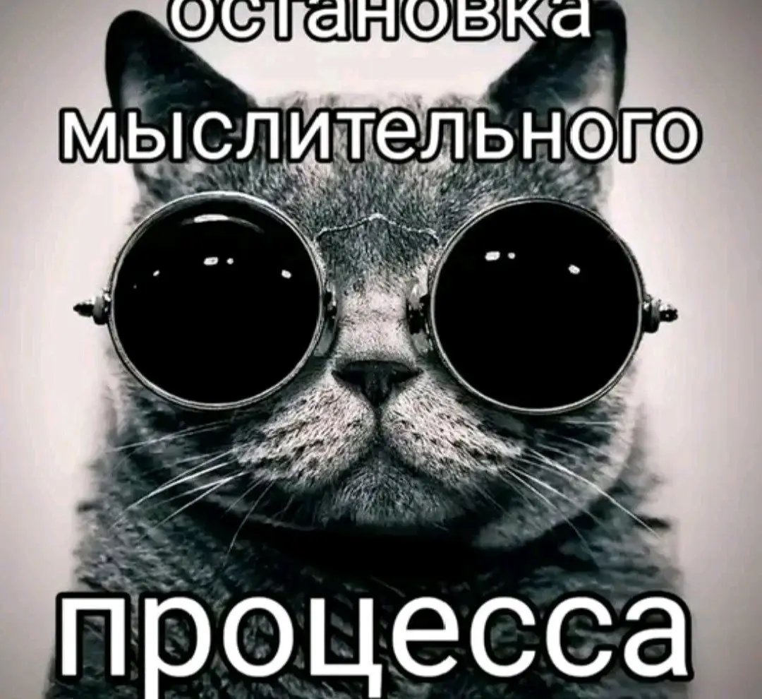 горжусь тем что бесплатно загружаю музыку на стрекозу в максимальном… — Wonordel · Стрекоза