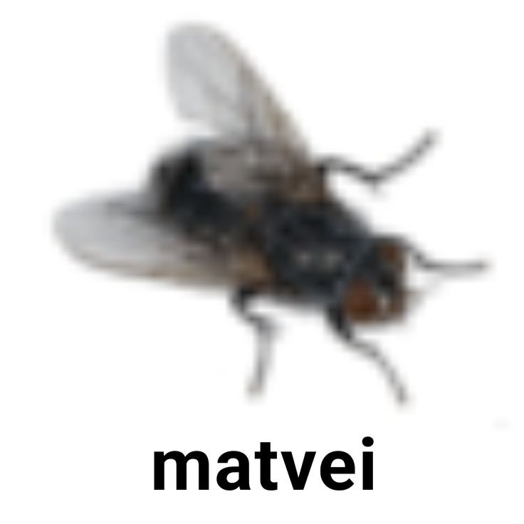 Сайт лег и радио не загружается,я разрешаю всем желающим постить. Мож… — Котлеты AM 22.8 · Стрекоза