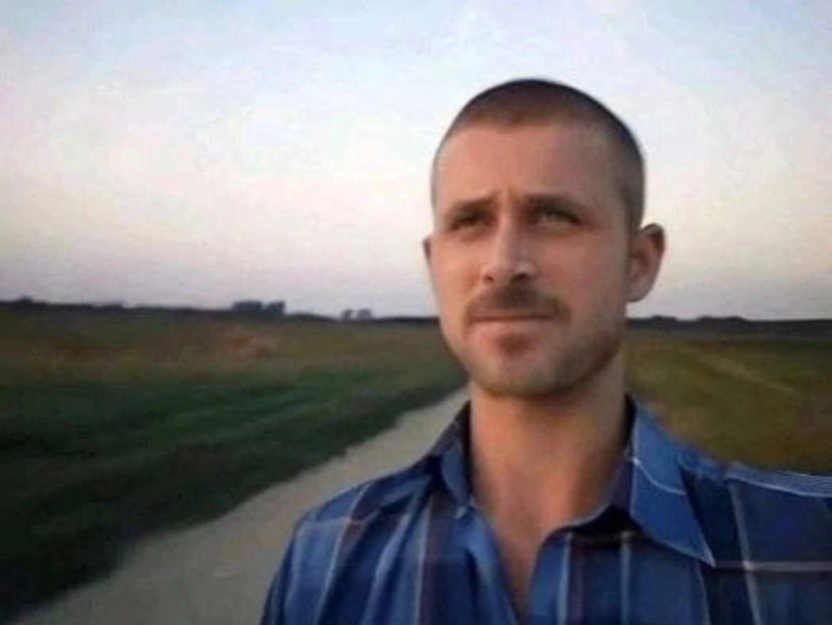 Прикольно тут, вроде бы просто картинки люди кидают, щитпостингом зан… — SurpriSe · Стрекоза