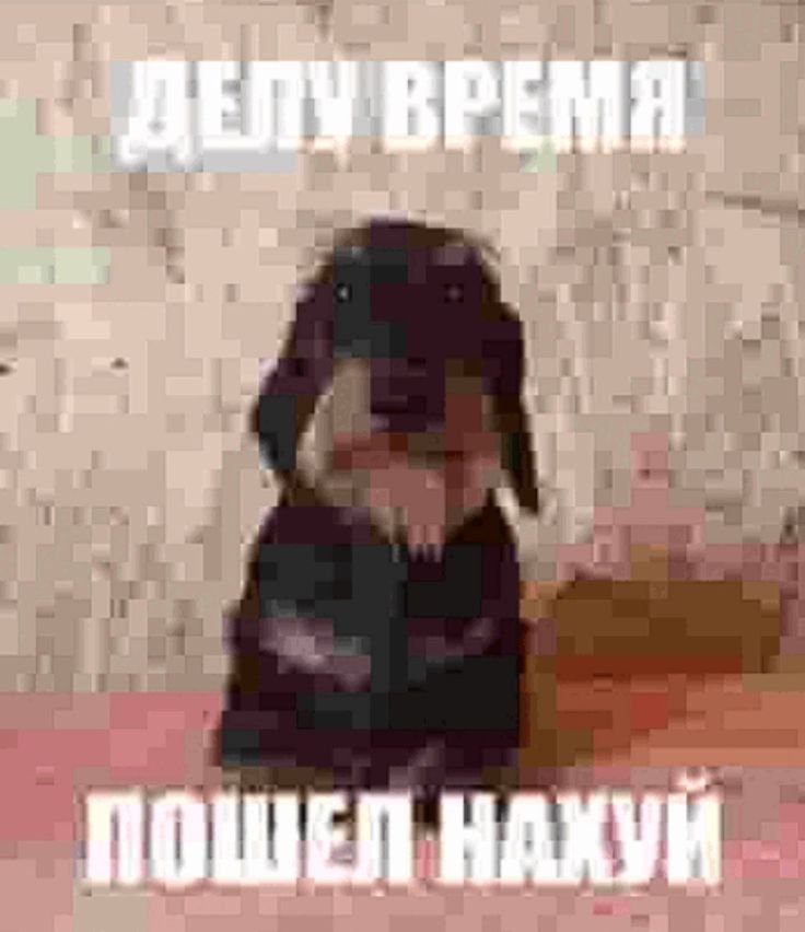привед медвед друзья — FURRY333 · Стрекоза
