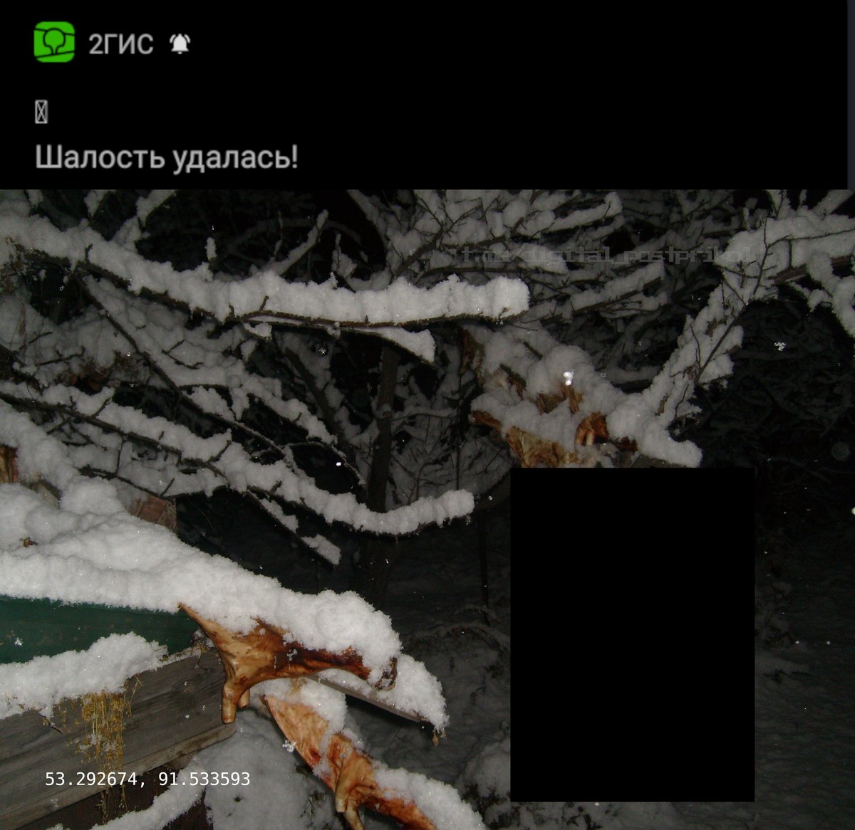 #орижинал https://t.me/digital_postprikol — цифровой постприкол · Стрекоза
