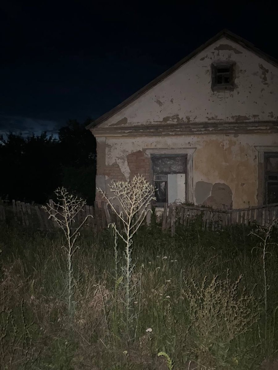 мяу — p0lka · Стрекоза