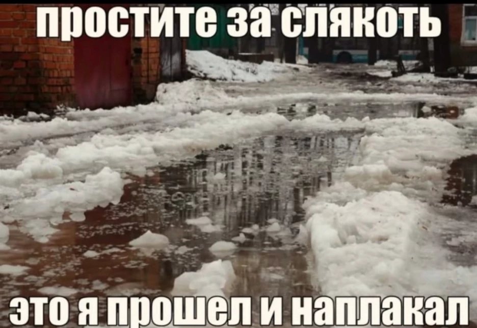 отаквот пацыки седня — d3spa1r · Стрекоза