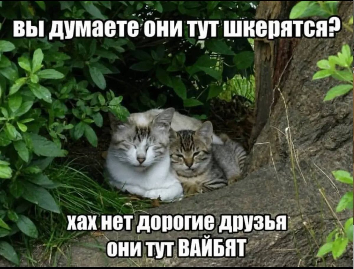 я и кто — bebebebububu · Стрекоза