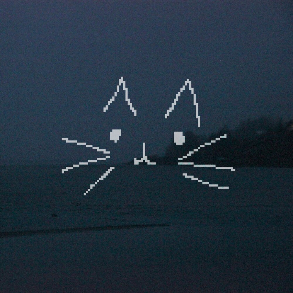 Mỗi lần tôi nghe nhạc meowcis, tôi nhớ con mèo khi cô ấy khỏe mạnh, n… — horror FM · Стрекоза