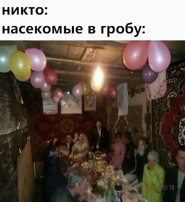 Вот вам мем, радуйтесь — HopefullQQ · Стрекоза